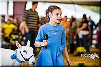 LCFAIR14-5268.jpg