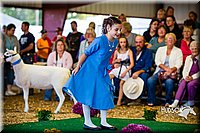 LCFAIR14-5269.jpg