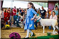 LCFAIR14-5274.jpg