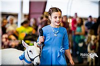 LCFAIR14-5277.jpg