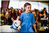 LCFAIR14-5278.jpg