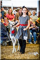 LCFAIR14-5279.jpg