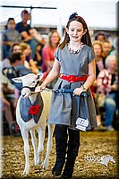 LCFAIR14-5281.jpg