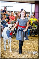 LCFAIR14-5282.jpg