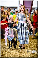 LCFAIR14-5309.jpg