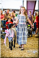 LCFAIR14-5310.jpg