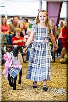 LCFAIR14-5311.jpg