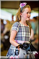 LCFAIR14-5314.jpg