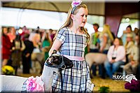 LCFAIR14-5322.jpg