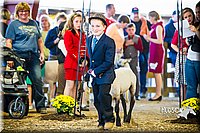 LCFAIR14-5323.jpg