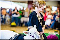 LCFAIR14-5337.jpg