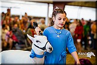 LCFAIR14-5339.jpg