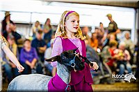 LCFAIR14-5341.jpg