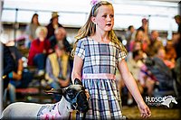 LCFAIR14-5342.jpg