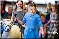LCFAIR14-5349.jpg