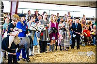 LCFAIR14-5354.jpg