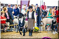 LCFAIR14-5362.jpg
