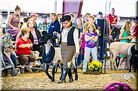 LCFAIR14-5363.jpg