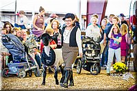 LCFAIR14-5364.jpg