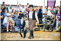 LCFAIR14-5365.jpg