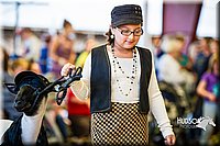 LCFAIR14-5368.jpg