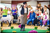 LCFAIR14-5372.jpg