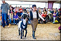 LCFAIR14-5373.jpg