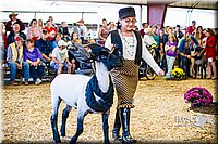 LCFAIR14-5374.jpg