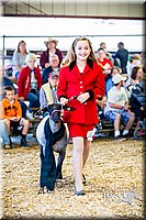 LCFAIR14-5375.jpg