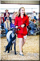 LCFAIR14-5376.jpg