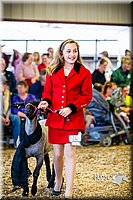 LCFAIR14-5381.jpg