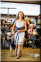 LCFAIR14-5384.jpg