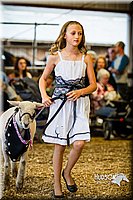 LCFAIR14-5386.jpg