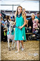 LCFAIR14-5399.jpg