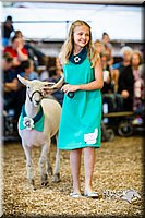 LCFAIR14-5400.jpg