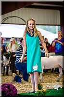 LCFAIR14-5403.jpg