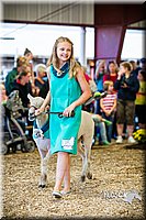 LCFAIR14-5405.jpg