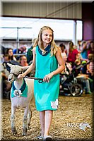LCFAIR14-5406.jpg
