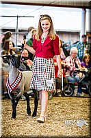 LCFAIR14-5422.jpg