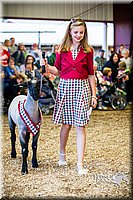 LCFAIR14-5430.jpg