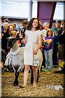 LCFAIR14-5432.jpg