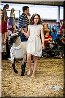 LCFAIR14-5434.jpg