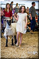 LCFAIR14-5435.jpg