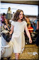 LCFAIR14-5436.jpg