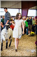 LCFAIR14-5445.jpg