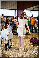LCFAIR14-5446.jpg