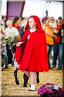 LCFAIR14-5448.jpg