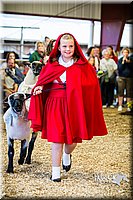 LCFAIR14-5451.jpg