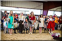LCFAIR14-5472.jpg