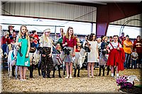 LCFAIR14-5473.jpg